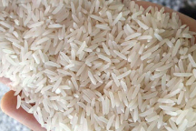  غلات | برنج طارم شهریار