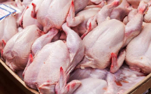  مواد پروتئینی | گوشت مرغ گرم تازه