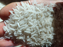  غلات | برنج برنج طارم دشتک