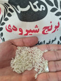  غلات | برنج برنج شیرودی خوشپخت پنج ستاره مکاس