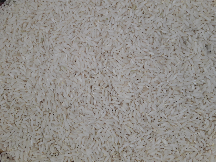  غلات | برنج برنج سدری