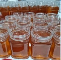  دامپروری | عسل عسل گیاهی تفتان