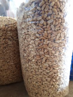  خشکبار | بادام بادام زمینی برای کره گیری