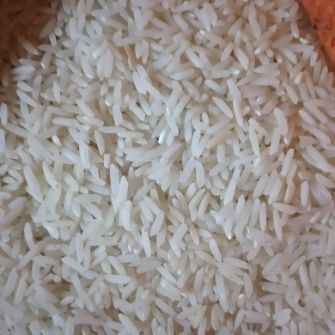  غلات | برنج طارم هاشمی کشت دوم