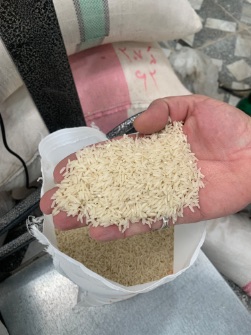  غلات | برنج برنج طارم کشت دوم بینام فوق اعلاو معطر