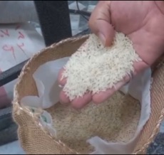  غلات | برنج برنج کشت دوم دونوج وحشی