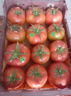  صیفی | گوجه گوجه گلخانه و گوجه زمینی