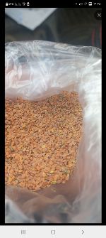 بذر و نهال | بذر قدومه شیرازی