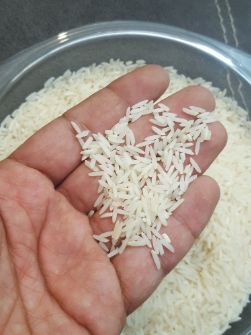  غلات | برنج هاشمی درجه یک