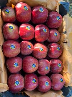  میوه | سیب سیب قرمز صادراتی