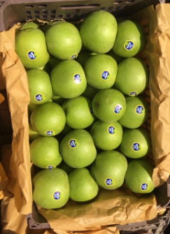  میوه | سیب سیب سبز صادراتی