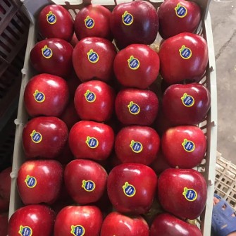  میوه | سیب سیب درختی