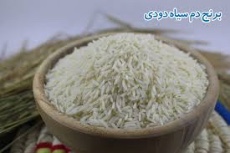  غلات | برنج صدری دم سیاه دودی