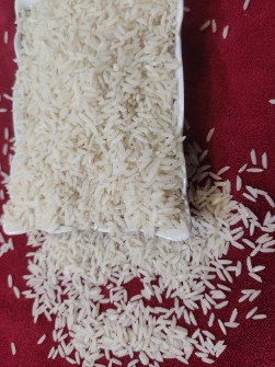  غلات | برنج برنج طارم هاشمی و طارم محلی از شمال کشور