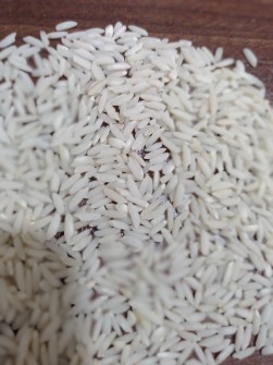  غلات | برنج طارم دورود میرزاخان