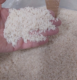 غلات | برنج شیرودی درجه یک مازندران