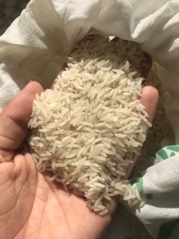  غلات | برنج طارم فجر