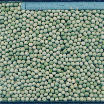  حبوبات | نخود نخود سبز خشک شده