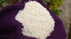  غلات | برنج هاشمی درجه یک خمام