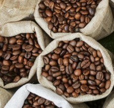  نوشیدنی | قهوه قهوه زیپان