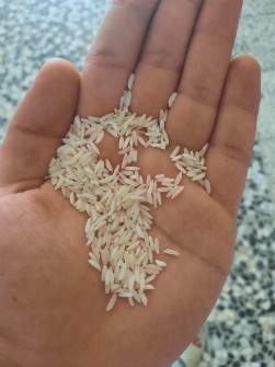  غلات | برنج طارم استخوانی