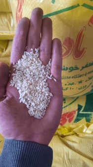  غلات | برنج برنج عنبربو مارک نادر