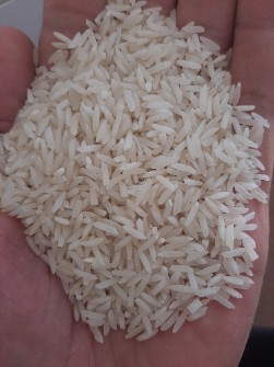  غلات | برنج برنج پاکستانی و  برنج طارم دمسیاه کلاله