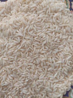  غلات | برنج طارم  محلی درود