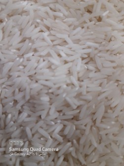  غلات | برنج طارم هاشمی محلی