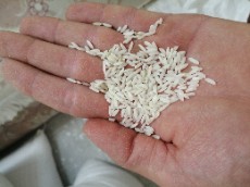  غلات | برنج برنج علی کاظمی