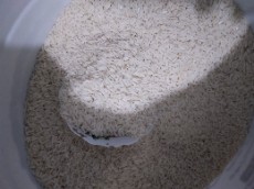  غلات | برنج طارم ودوباره کشت