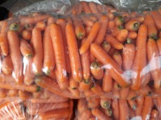  صیفی | هویج هویج شیرین