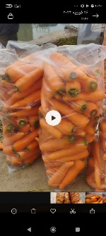  صیفی | هویج هویج درشت آبگیری