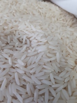  غلات | برنج ندا گلستان