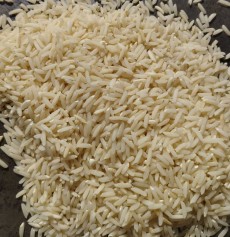  غلات | برنج برنج طارم هاشمی ممتاز